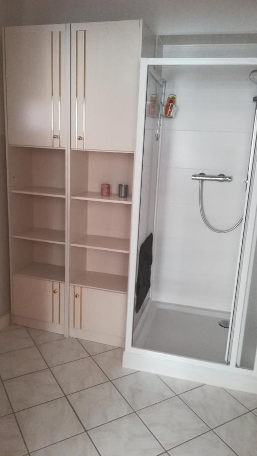 Wendler'S Haus Apartment Meuselwitz Ngoại thất bức ảnh